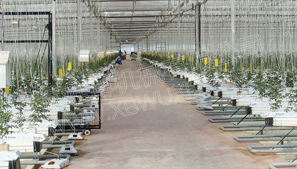 可移動(dòng)種植槽設(shè)備：靈活種植的新選擇